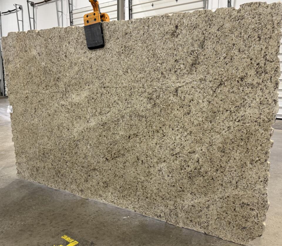 Giallo Ornamental 3cm Slab