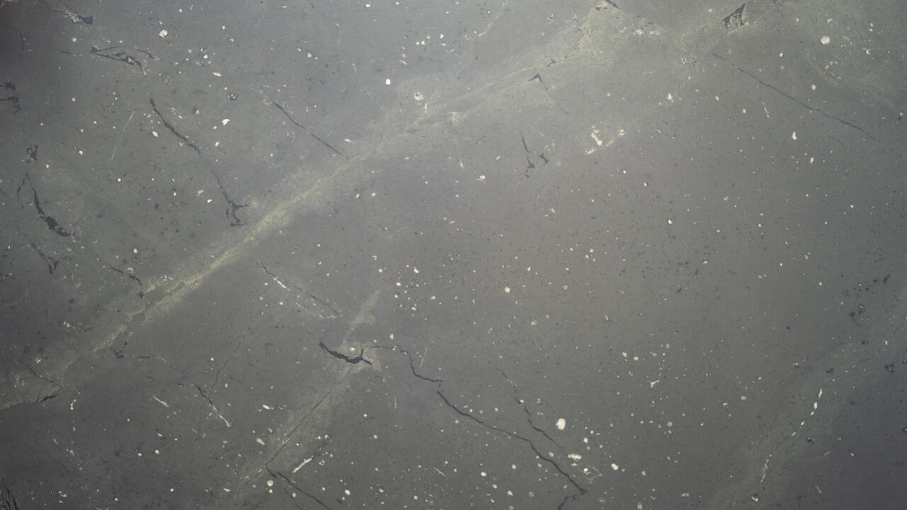 Saratoga Quartzite Leather 2cm Quartzite by PACIFICA