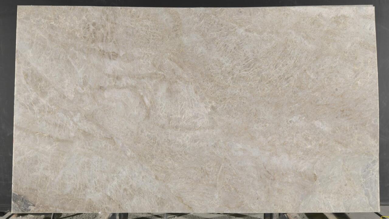 Venus/Taj Mahal Leather Finish 2cm Quartzite by PACIFICA