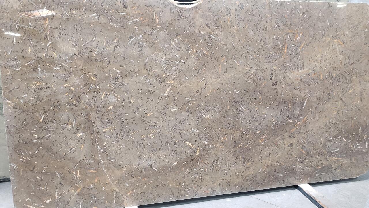 Jurassic Brown 2cm Marble by PACIFICA