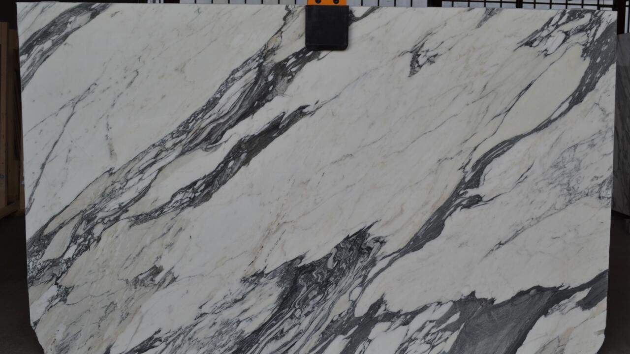 Statuario Arabescato Polished Finish 2cm Marble by PACIFICA