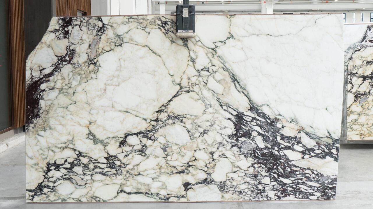 Calacatta Monet Viola Honed 2CM Marble by PACIFICA